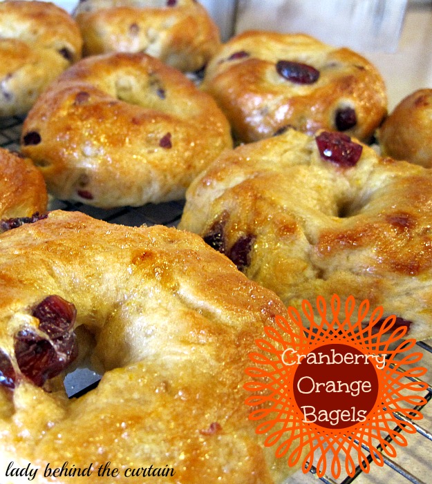 Cranberry Orange Bagels