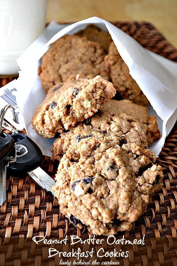 Peanut ButterOatmeal Breakfast Cookies
