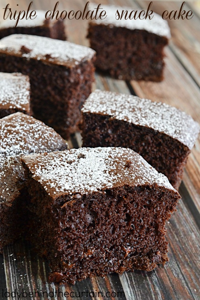 Triple Chocolate Snack Cake