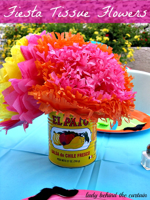 Lady Behind The Curtain - Fiesta Tissue Flowers 