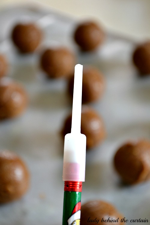 Lady Behind The Curtain - Ginger Snap and Eggnog Cookie Pops