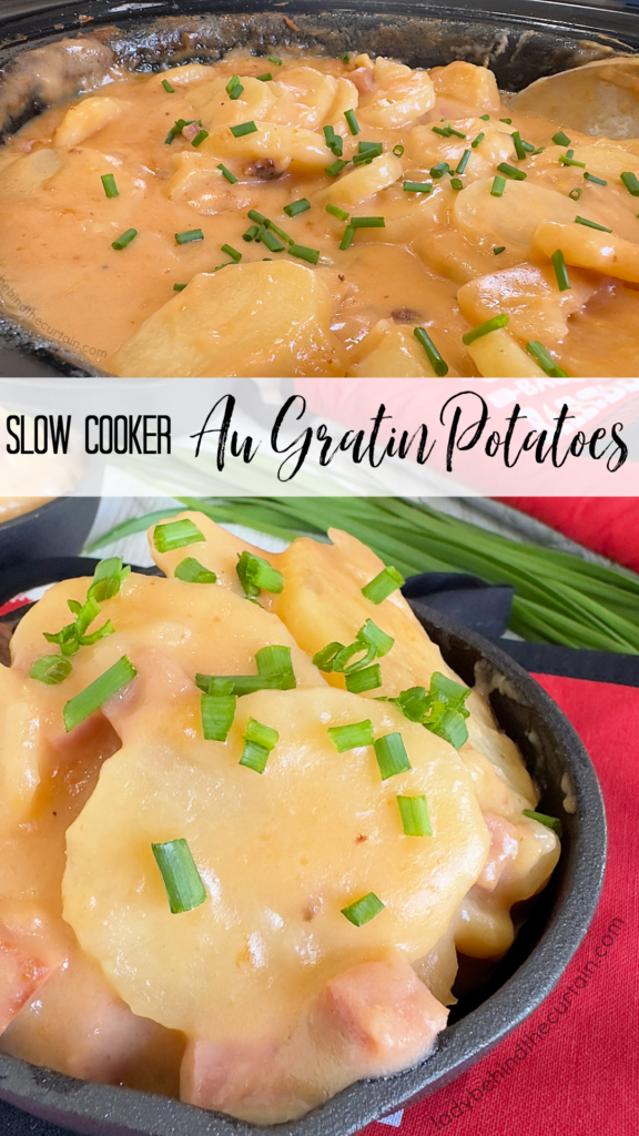 Slow Cooker Au Gratin Potatoes