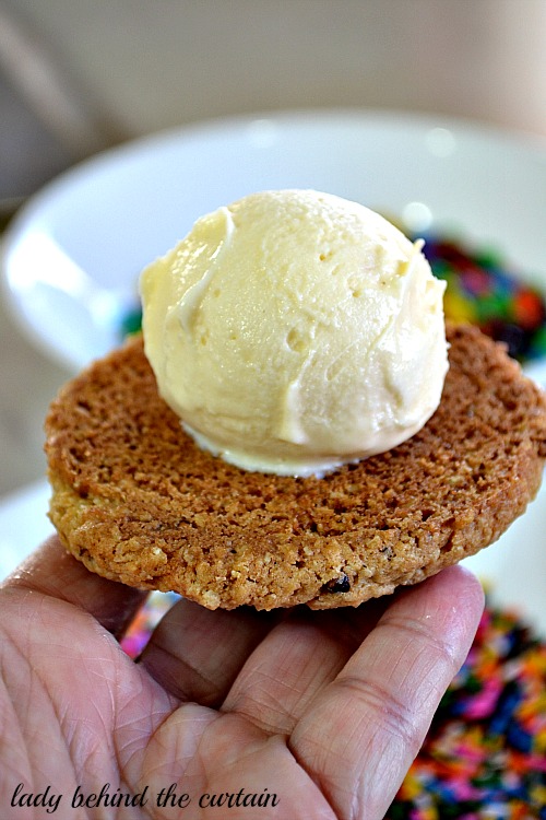 Lady Behind The Curtain - Oatmeal Cookie Ice Cream Sandwich 