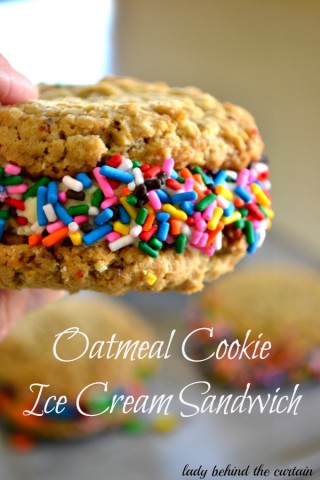 Oatmeal Cookie Ice Cream Sandwich