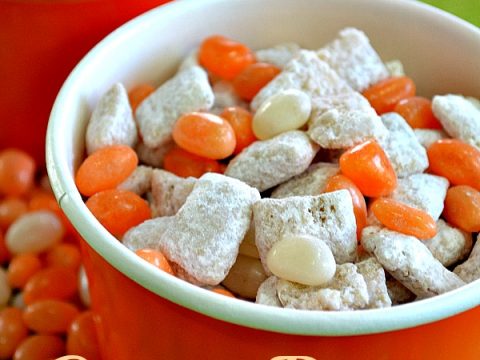 Orange Dream Puppy Chow