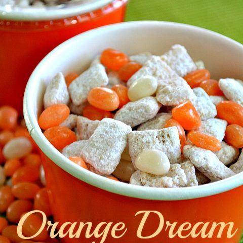 Orange Dream Puppy Chow