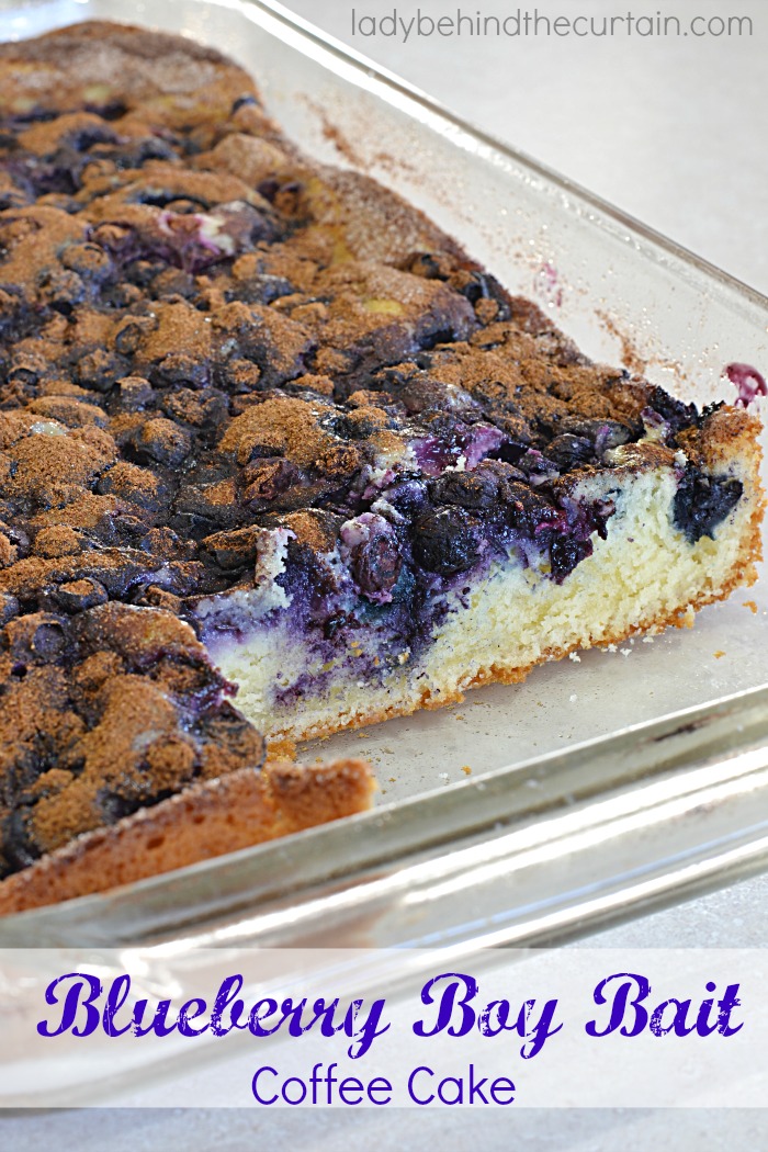 Blueberry Boy Bait Coffee Cake