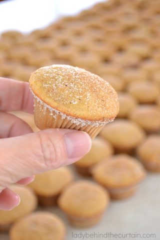 Chunky Applesauce Muffins
