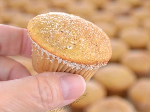 Chunky Applesauce Mini Muffins