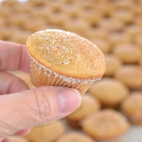 Chunky Applesauce Mini Muffins