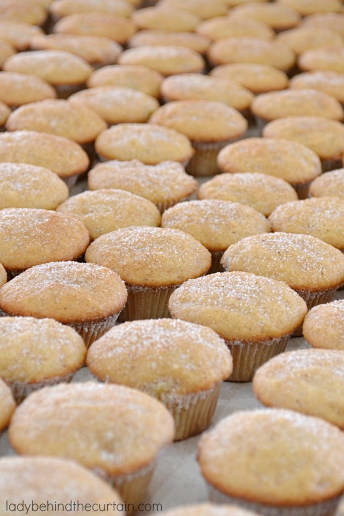 Chunky Applesauce Mini Muffins