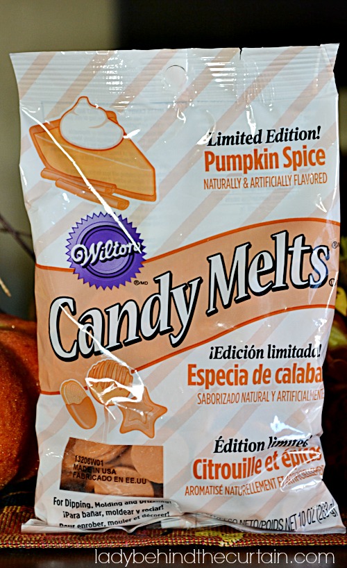 Kid's Thanksgiving Table Pumpkin Spice Pretzels - Lady Behind The Curtain