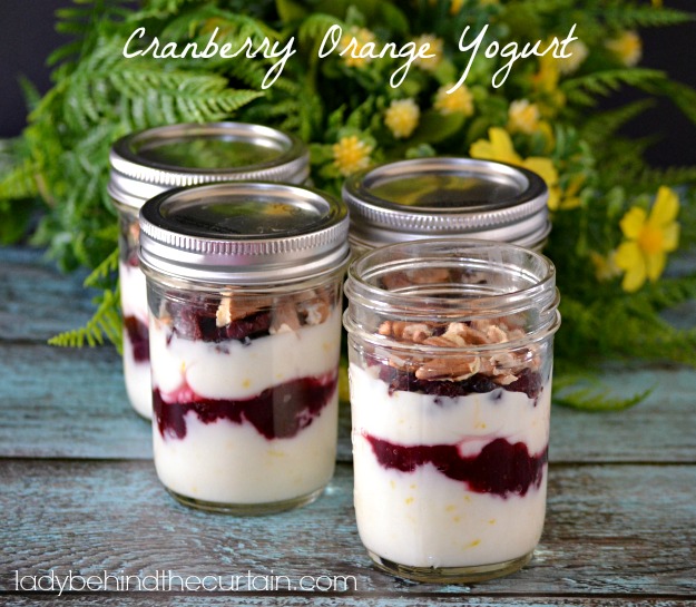 Cranberry Orange Yogurt - Lady Behind The Curtain