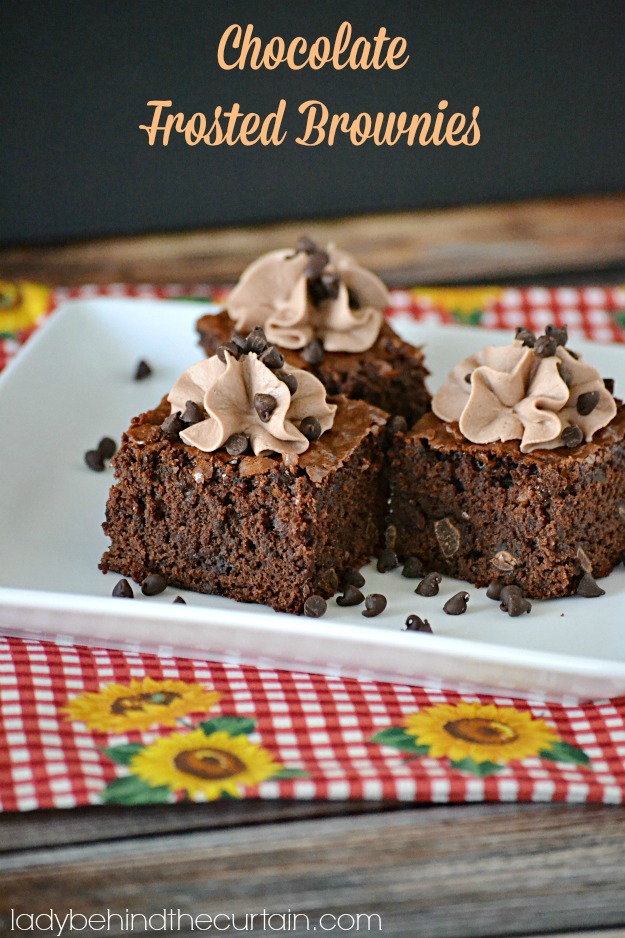 Chocolate Frosted Brownies - Lady Behind The Curtain