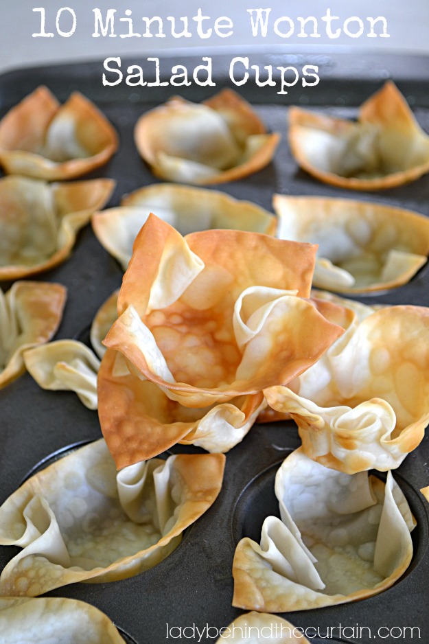 10 Minute Wonton Salad Cups - Lady Behind The Curtain