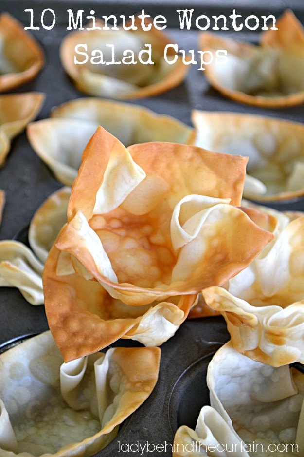 10 Minute Wonton Salad Cups - Lady Behind The Curtain