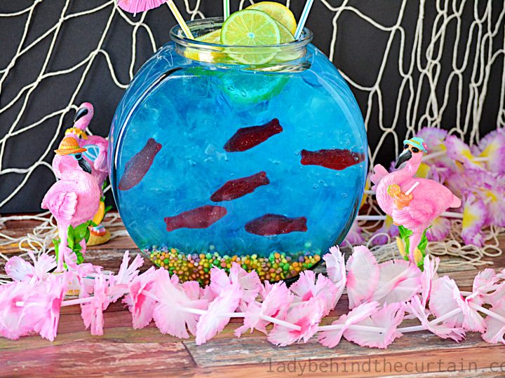 betta fish subscription box Betta Box  Only Fins