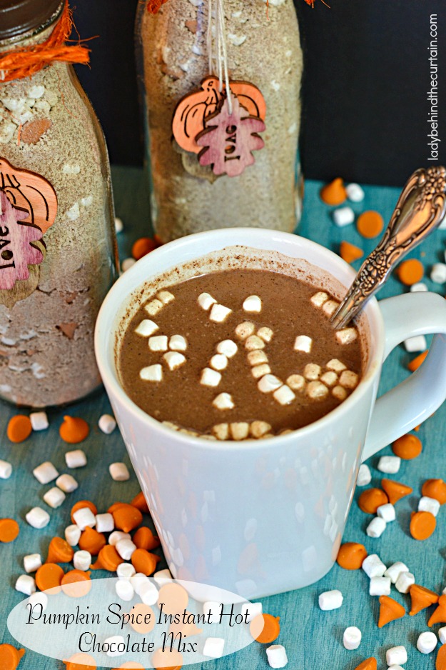 Pumpkin Spice Instant Hot Chocolate Mix - Lady Behind The Curtain