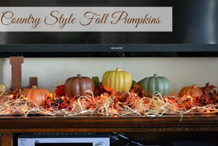 Diy Dollar Tree Country Style Fall Pumpkins