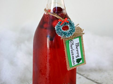 Cranberry Syrup - Lady Behind The Curtain