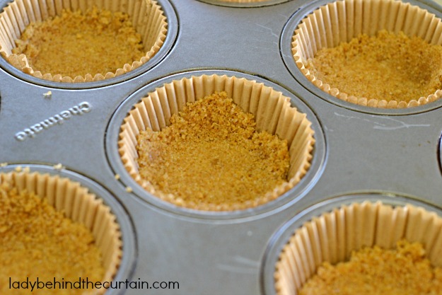 Snickerdoodle Cookie Dough Mini Cheesecakes - Lady Behind The Curtain