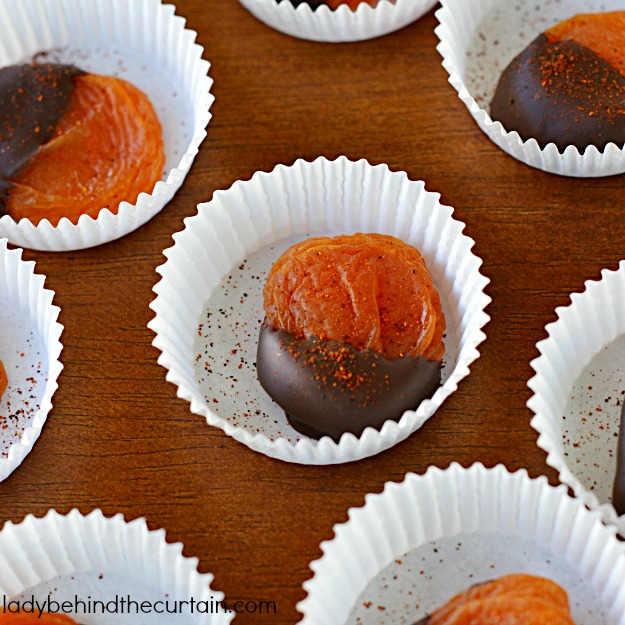 Spicy Dark Chocolate Apricots - Lady Behind The Curtain