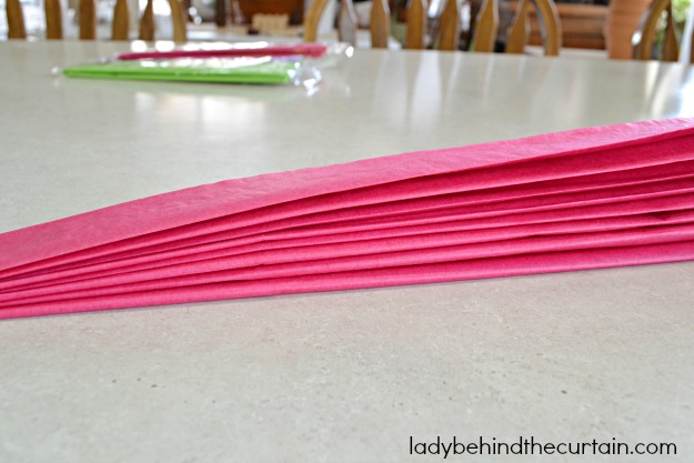 Giant Tissue Flowers - Lady Behind The Curtain