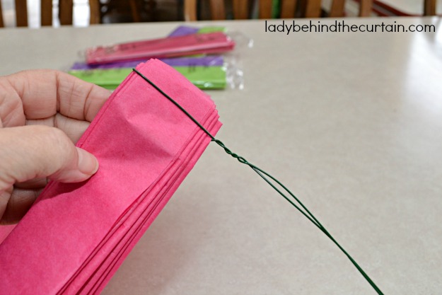 Giant Tissue Flowers - Lady Behind The Curtain