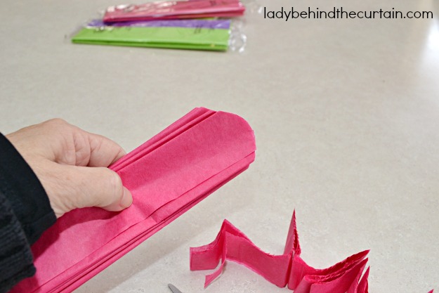 Giant Tissue Flowers - Lady Behind The Curtain