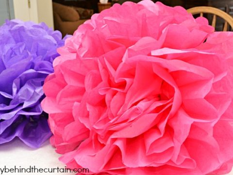 Giant Tissue Flowers - Lady Behind The Curtain