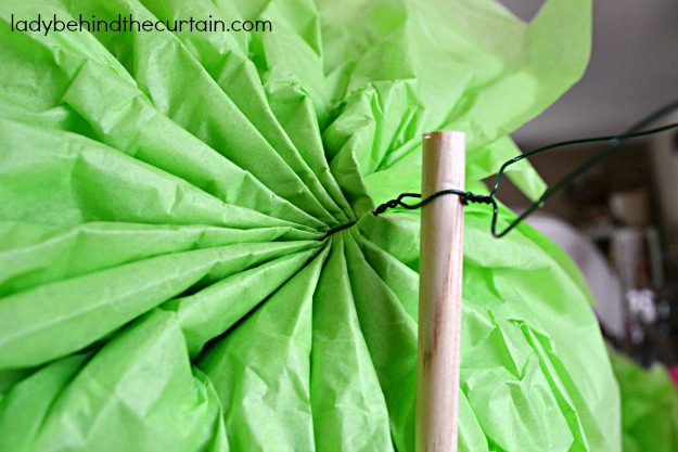 Giant Tissue Flowers - Lady Behind The Curtain