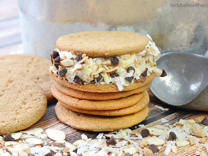 Homemade Monster Ice Cream Sandwiches