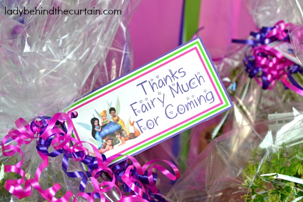 Living Fairy Garden Party Favor - Lady Behind The Curtain