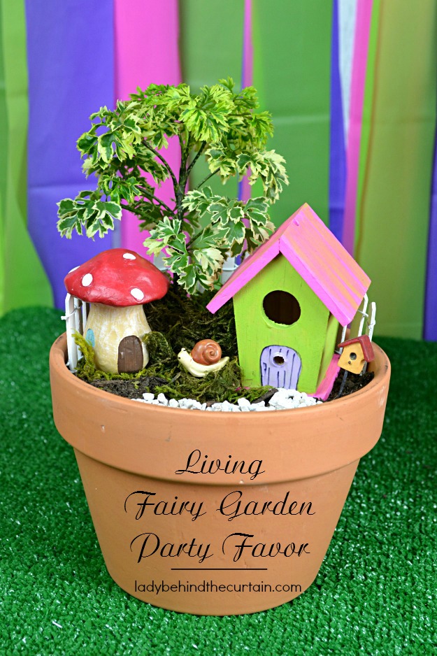 Living Fairy Garden Party Favor - Lady Behind The Curtain