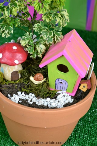 Living Fairy Garden Party Favor - Lady Behind The Curtain