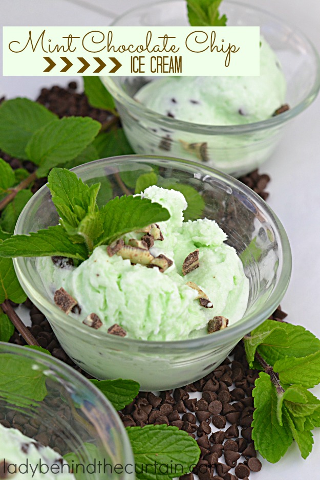 When chocolate and mint come together in a creamy ice cream you have perfection in a bowl.