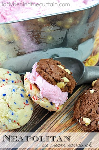 Neapolitan Ice Cream Sandwich