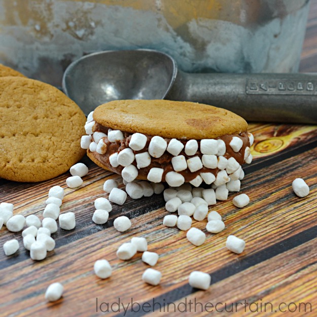 The perfect treat when it's too hot for a campfire and you're craving a s'mores make it into an ice cream sandwich!