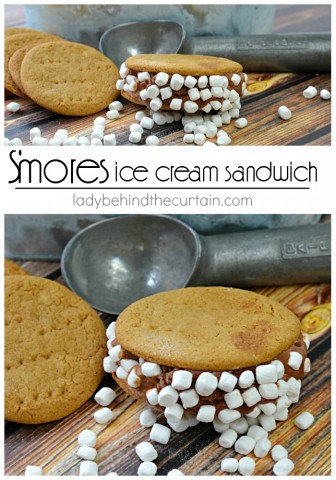 The perfect treat when it's too hot for a campfire and you're craving a s'mores make it into an ice cream sandwich!