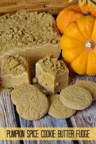 Pumpkin Spice Cookie Butter Fudge | This fudge brings pumpkin pie to a whole other level.