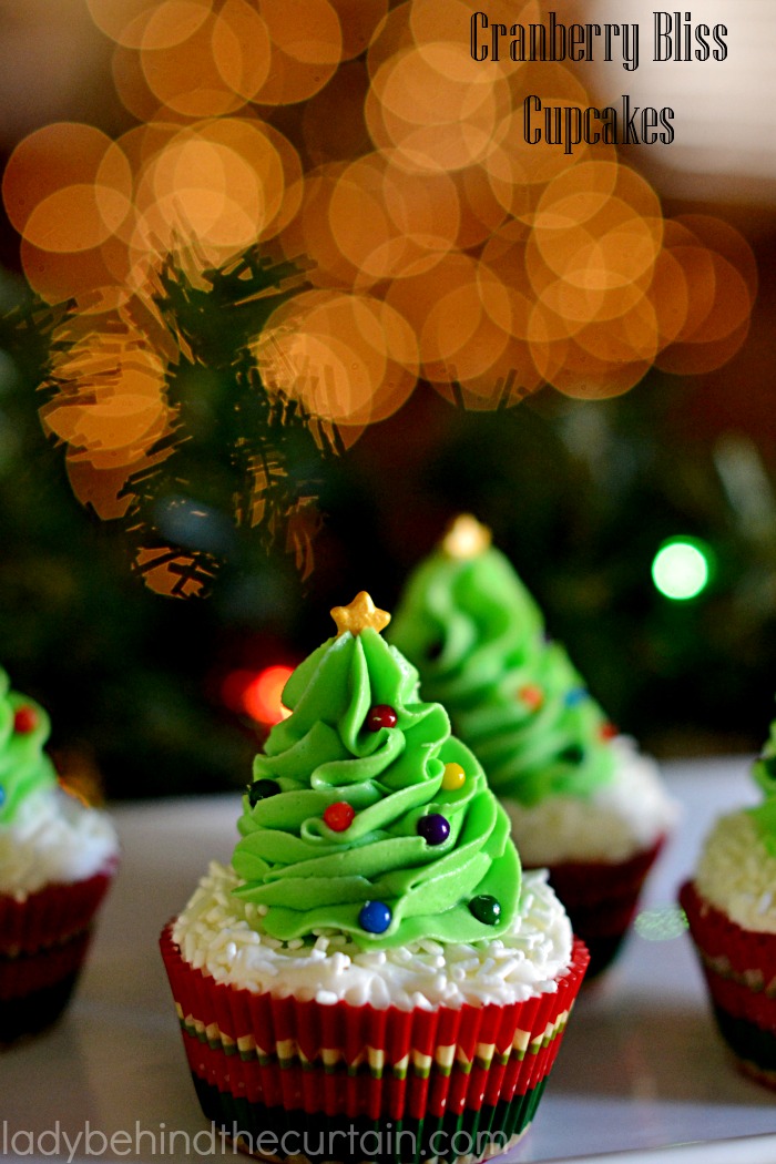 Cranberry Bliss Cupcakes | Everything you love about Cranberry Bliss Bars in a cupcake! Chunks of white chocolate, cranberries, pieces of crystallized ginger all topped with a to die for chocolate frosting.