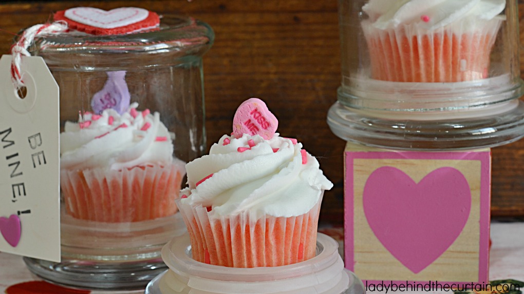 Valentine's Day Cupcake Party Favor