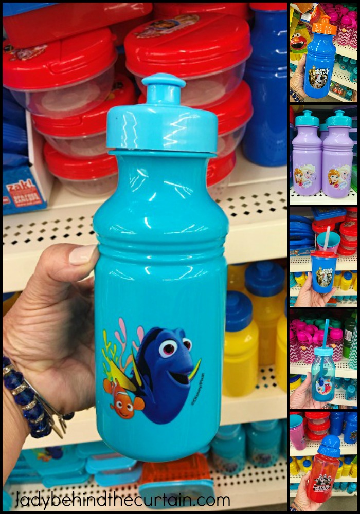 14 Dollar Store MUST-BUY Items for a Disney Vacation - Mama Cheaps®