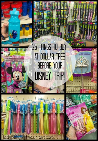 25 Things To Buy At Dollar Tree BEFORE Your Disney Trip | Whether you plan on visiting Disneyland or Disney World my money saving tips for your summer vacation are a must!