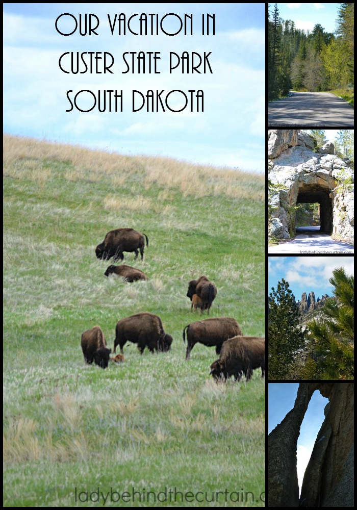 Our Vacation in Custer State Park South Dakota | Voted the BEST drive you'll EVER take and the perfect kid friendly summer vacation!