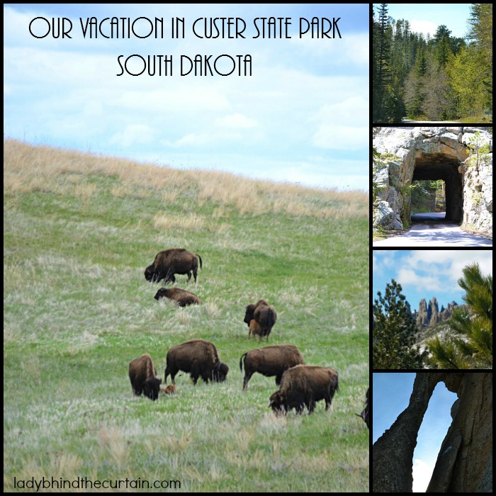 Our Vacation in Custer State Park South Dakota | Voted the BEST drive you'll EVER take and the perfect kid friendly summer vacation!