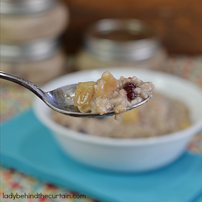 Slow Cooker Cranberry Apple Oatmeal | This creamy good for you breakfast will add fuel to your body and is great for a grab and go breakfast.