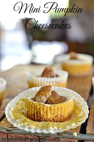 Mini Pumpkin Cheesecakes | Little bites of creamy pumpkin flavored cheesecake topped with a homemade caramel sauce and sugared pecans....now that a dessert fit for a celebration!
