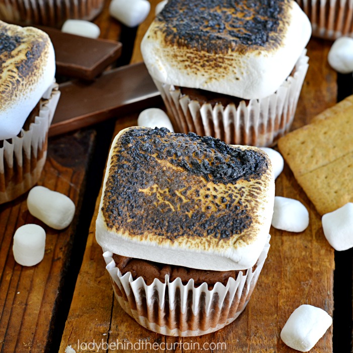 Mini S'more Cheesecakes | Bring the campfire into your home with these fun and delicious S'more Cheesecakes! 