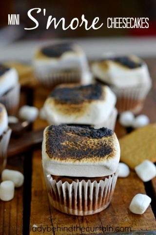 Mini S'more Cheesecakes | Bring the campfire into your home with these fun and delicious S'more Cheesecakes!